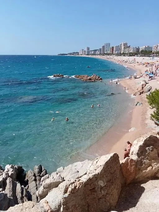 Apartment Apartamento Vacacional Piscis Platja d'Aro Spain